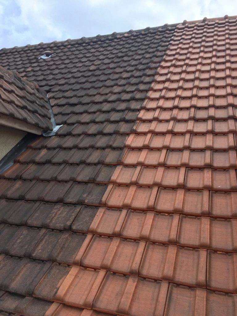 démoussage toiture brun