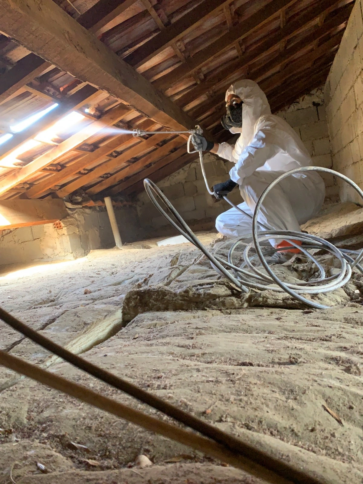 traitement bois charpente brun